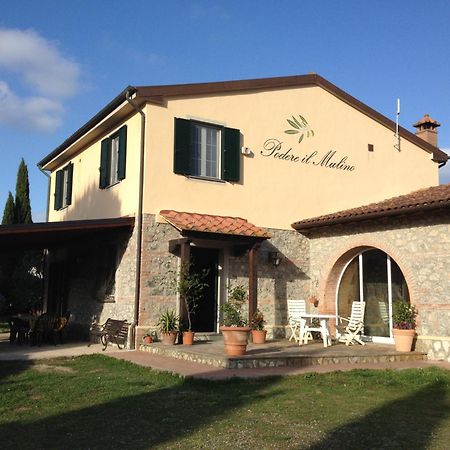 Podere Il Mulino Pieve di Santa Luce Exterior foto