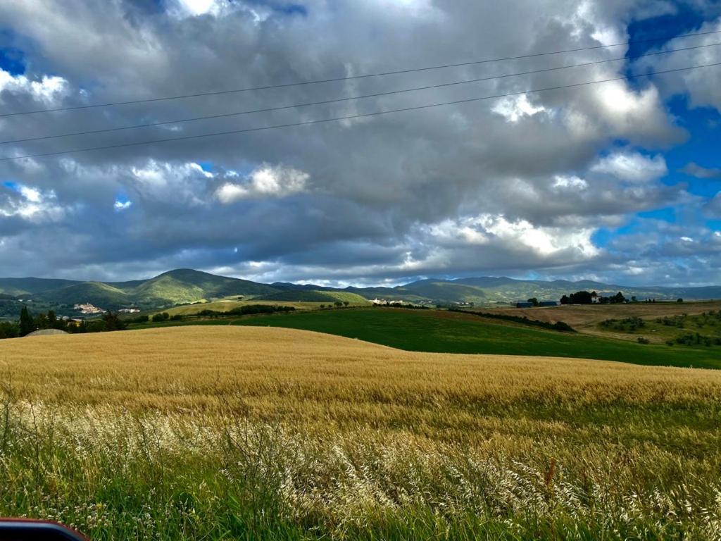 Podere Il Mulino Pieve di Santa Luce Exterior foto